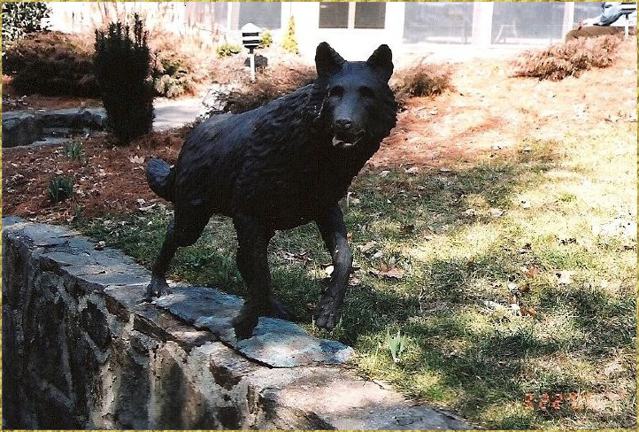 Black Wolf